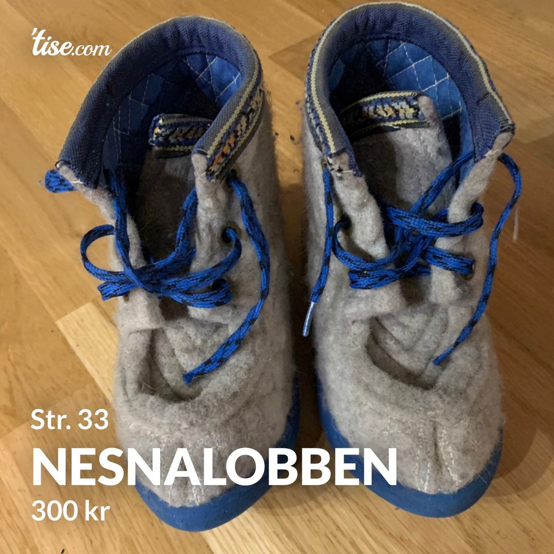 Nesnalobben