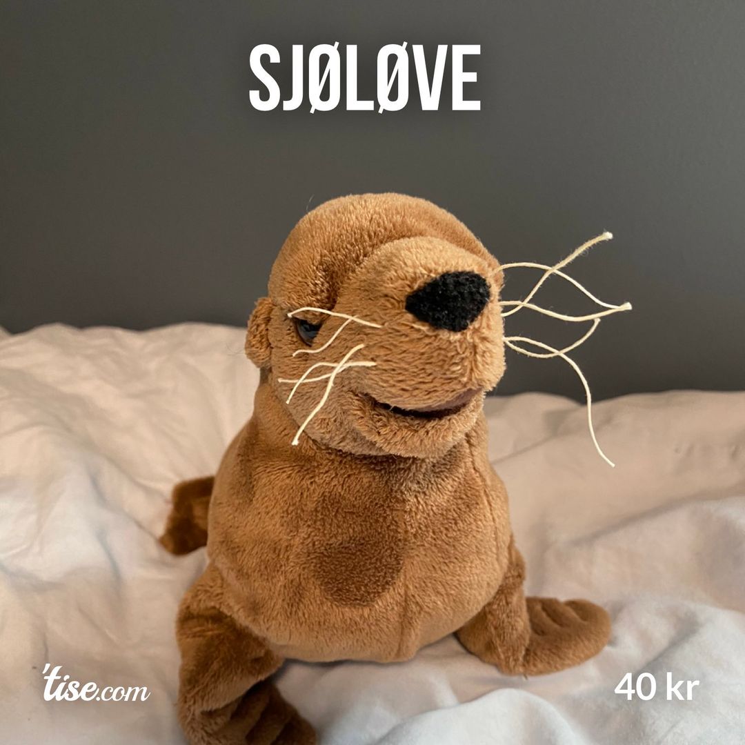 Sjøløve