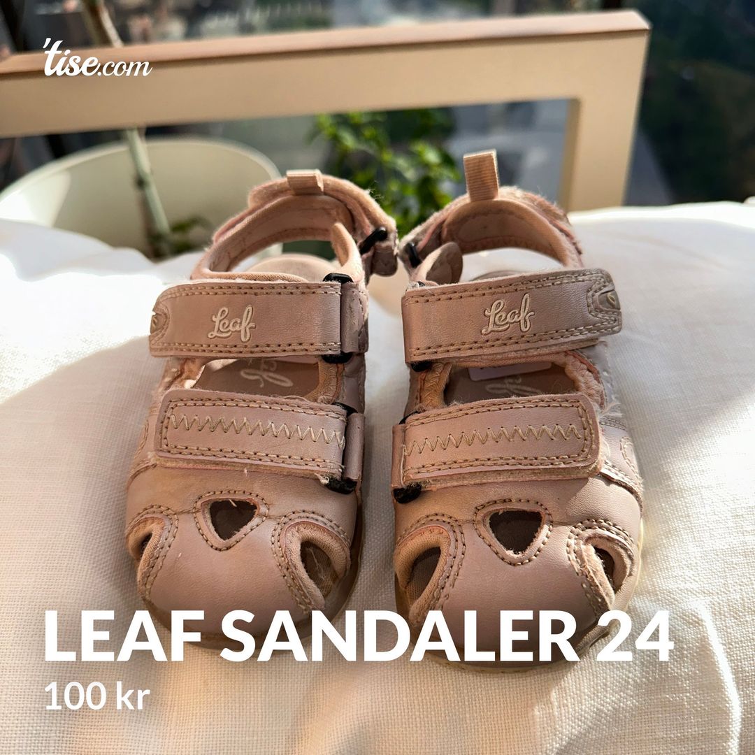 Leaf sandaler 24