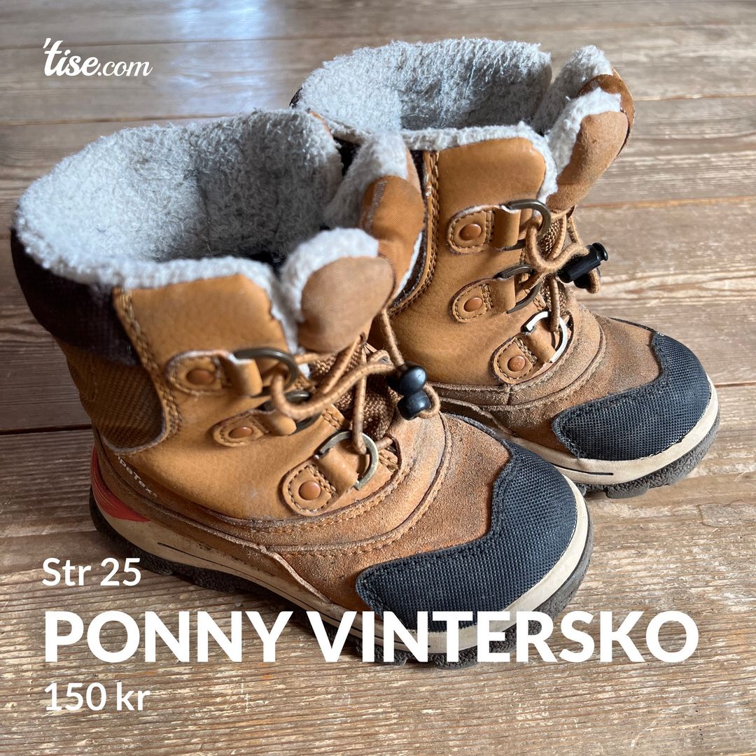 Ponny vintersko