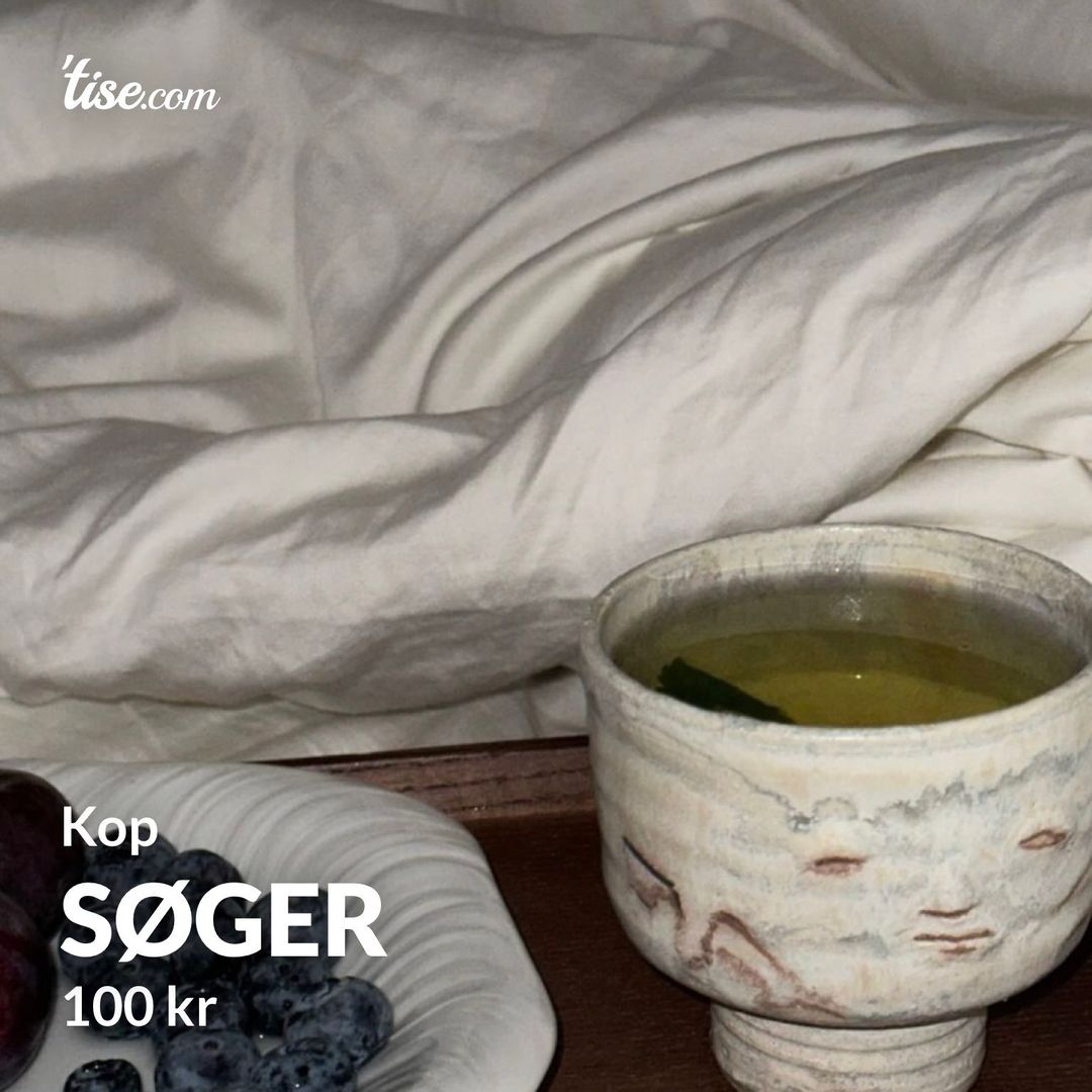 SØGER