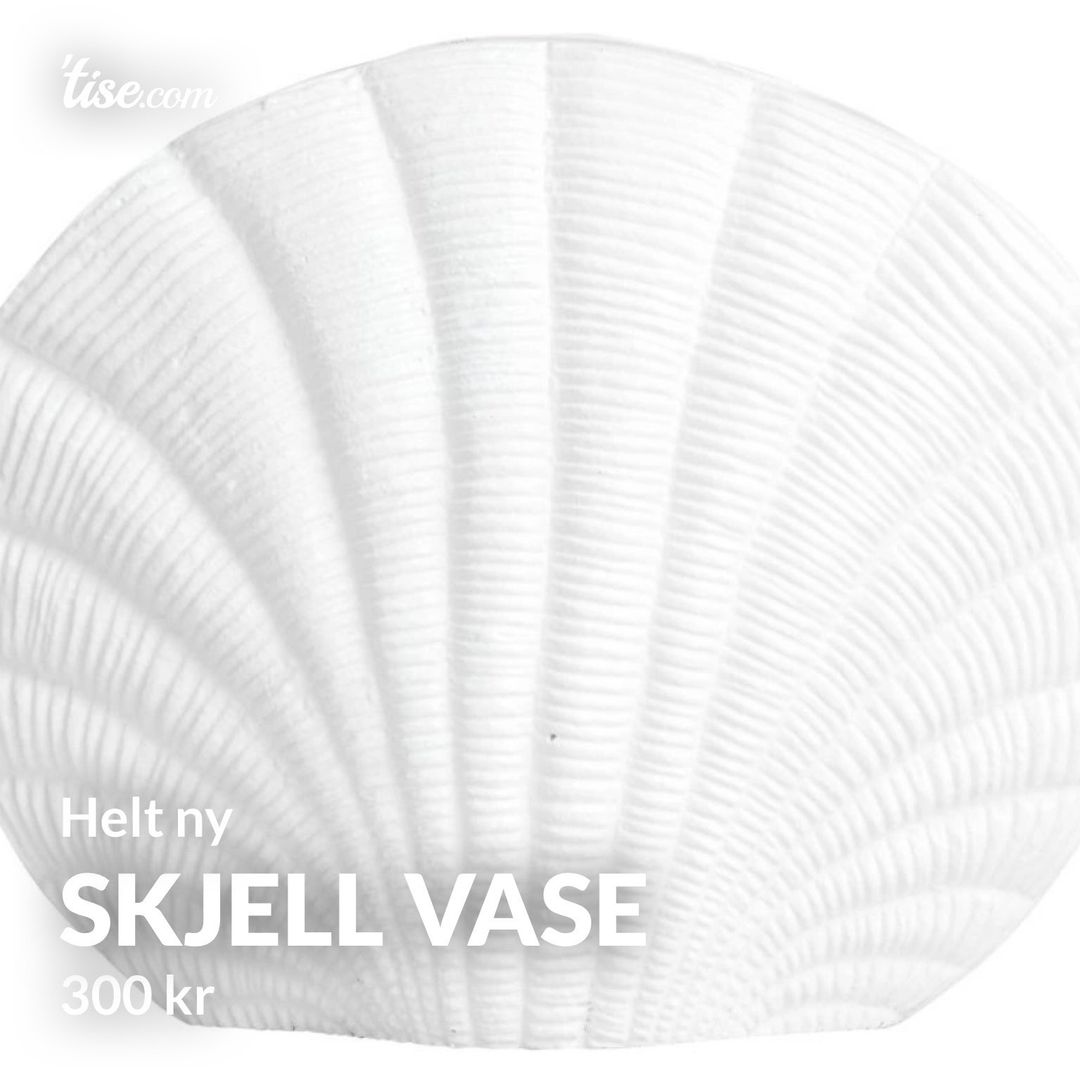 Skjell vase