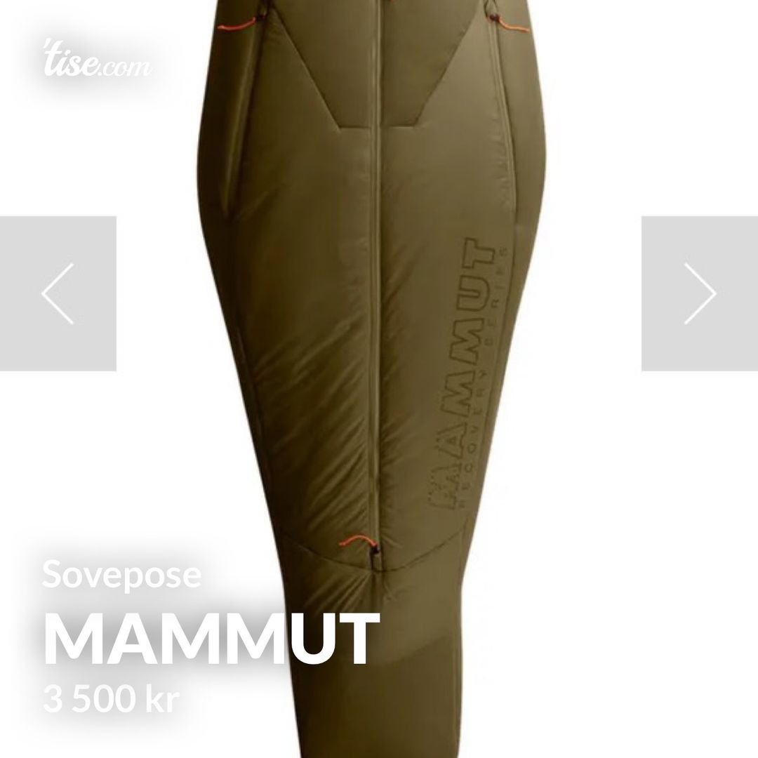 Mammut