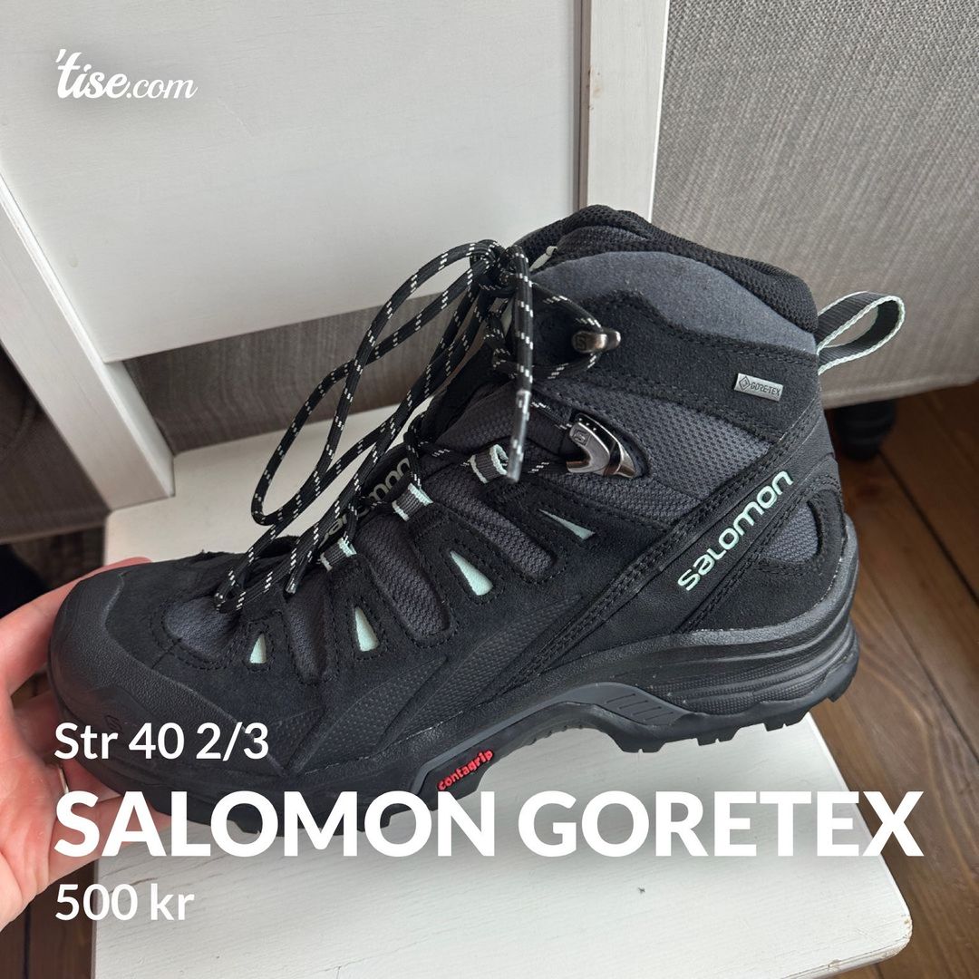 Salomon goretex