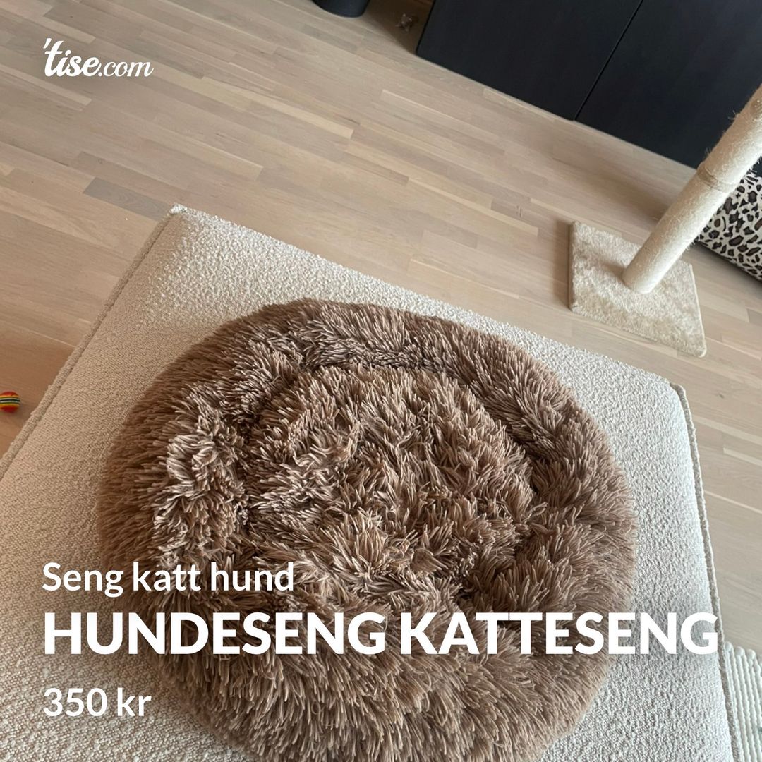 Hundeseng katteseng