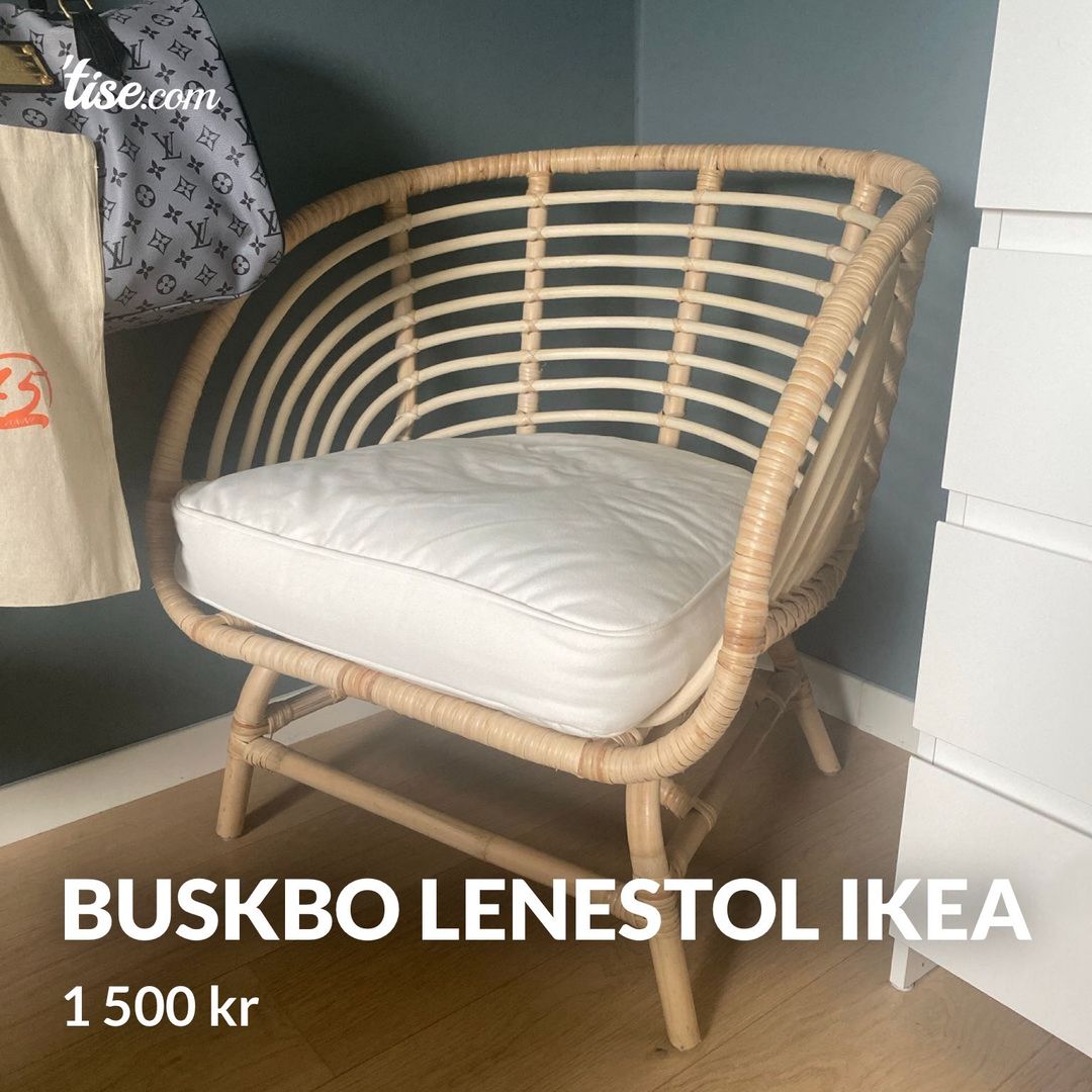 Buskbo Lenestol Ikea