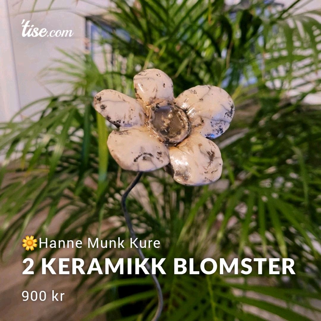 2 Keramikk Blomster