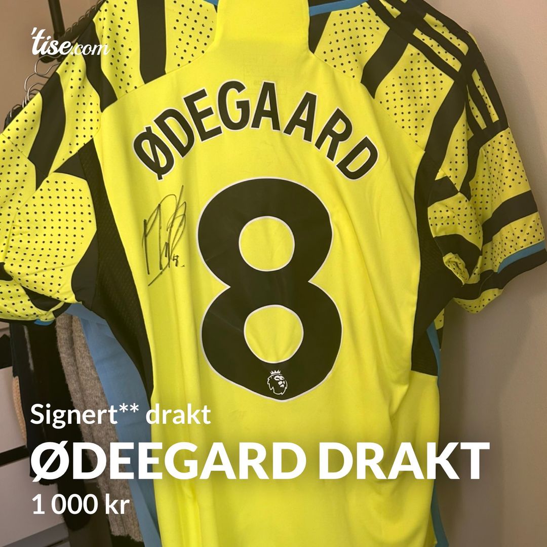 Ødeegard drakt