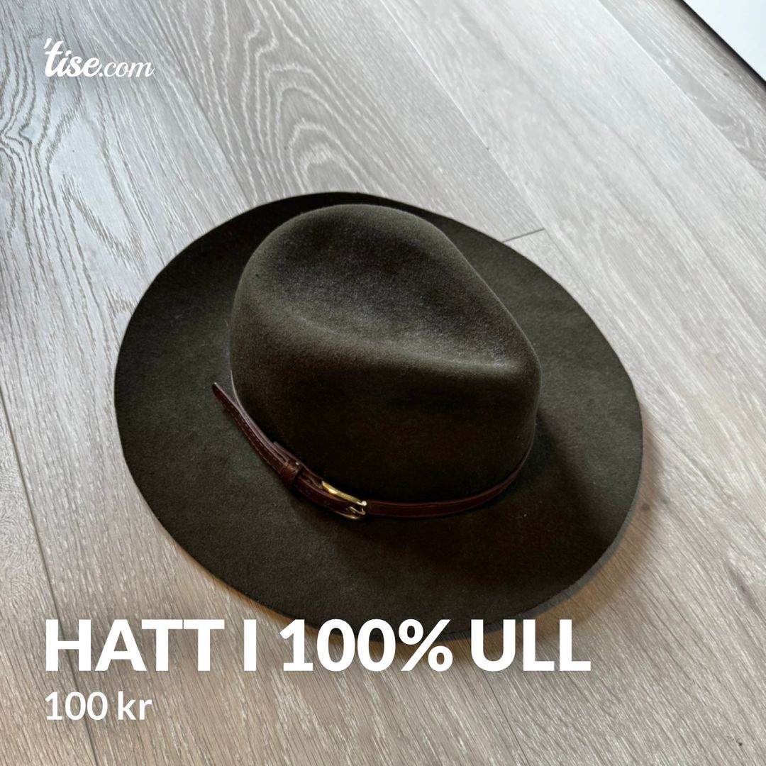 Hatt i 100% ull