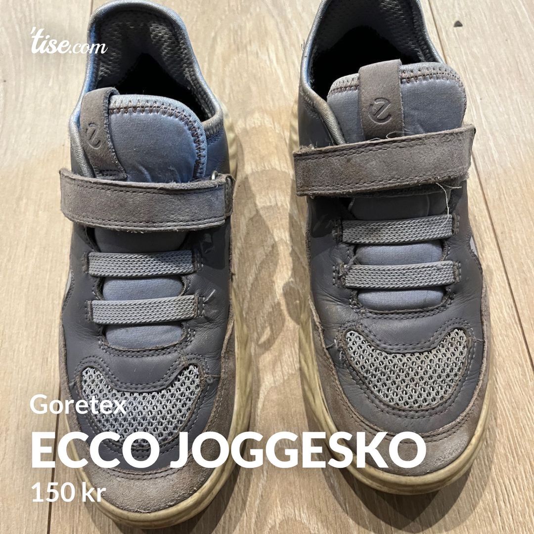 Ecco joggesko