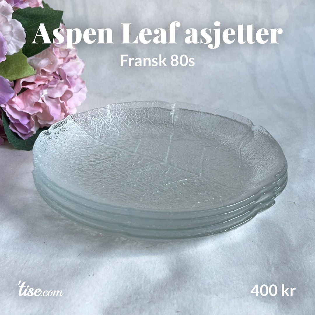 Aspen Leaf asjetter