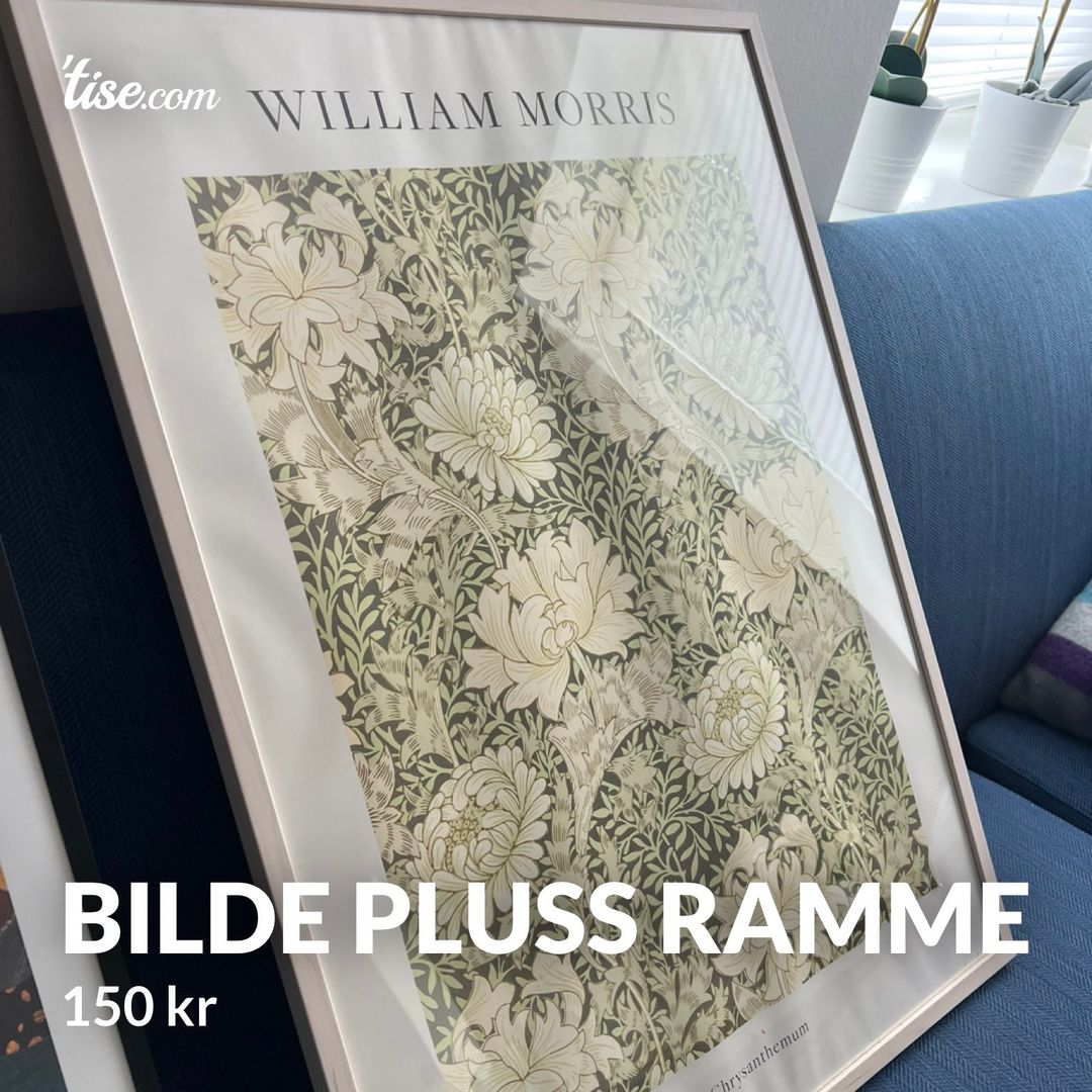 Bilde pluss ramme