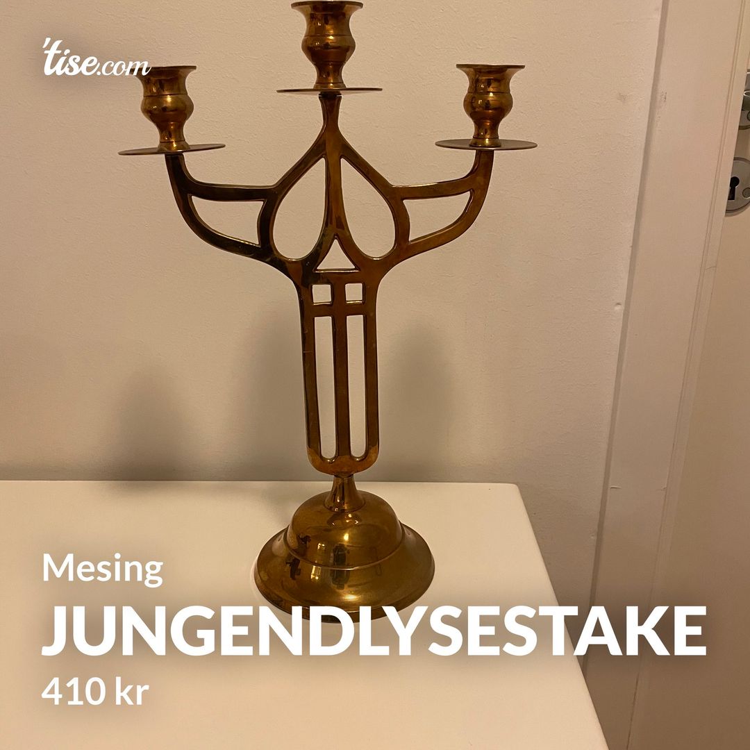 Jungendlysestake