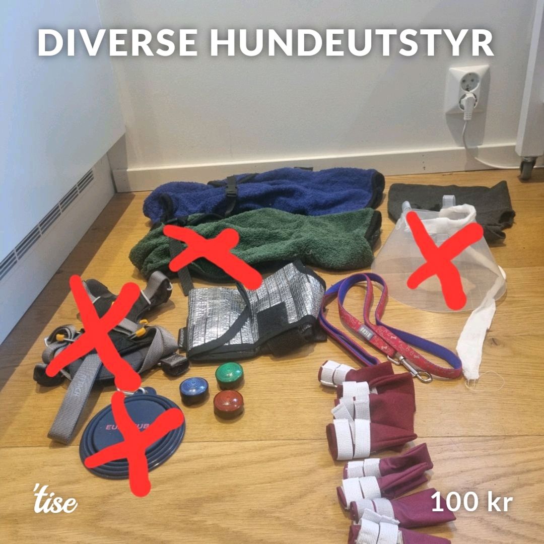 Diverse Hundeutstyr