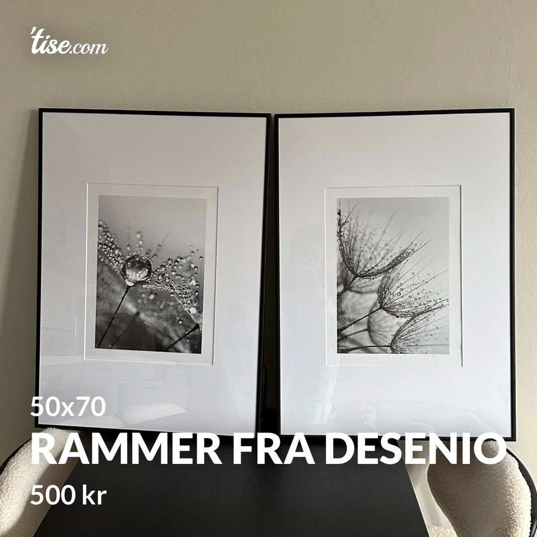 Rammer fra Desenio