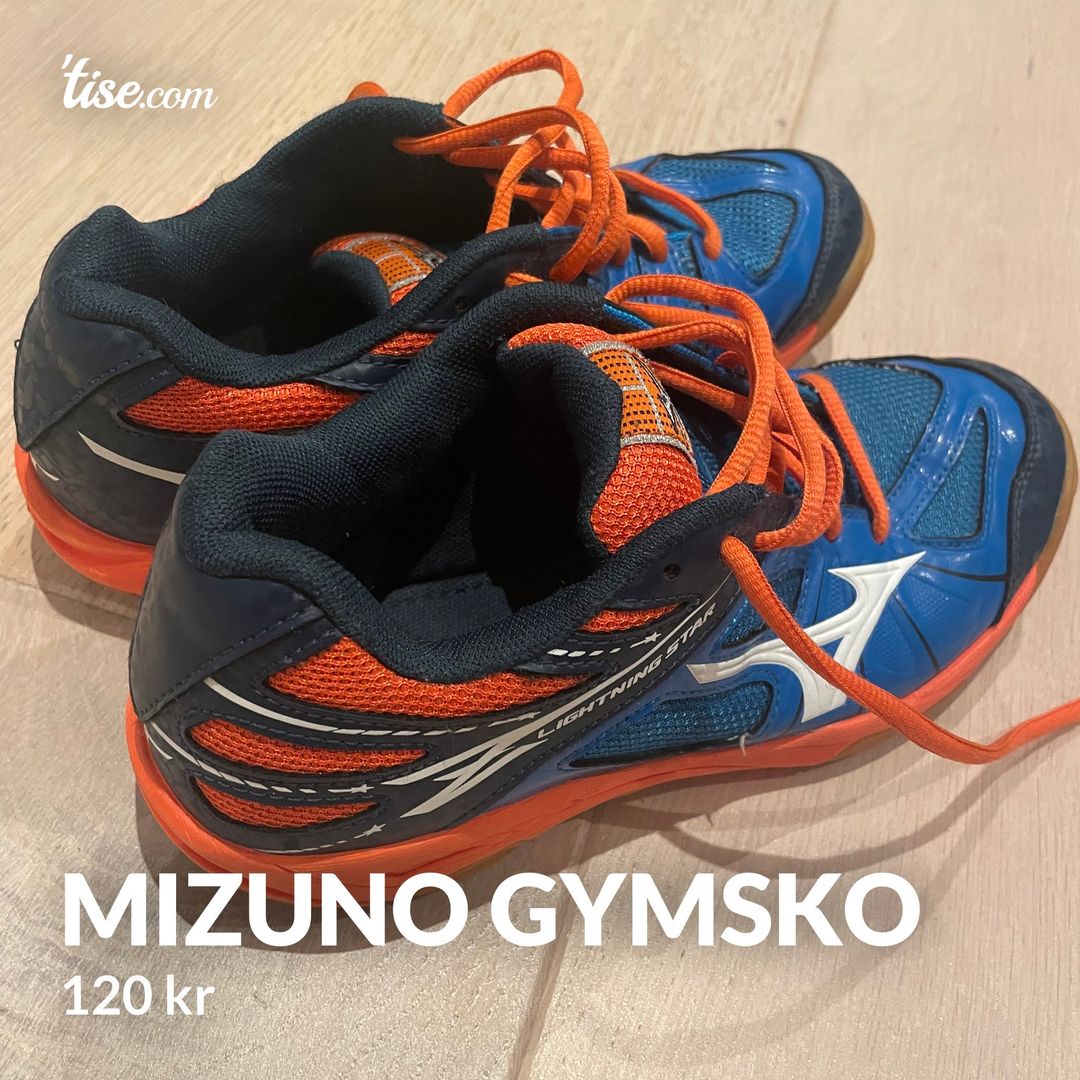 Mizuno gymsko