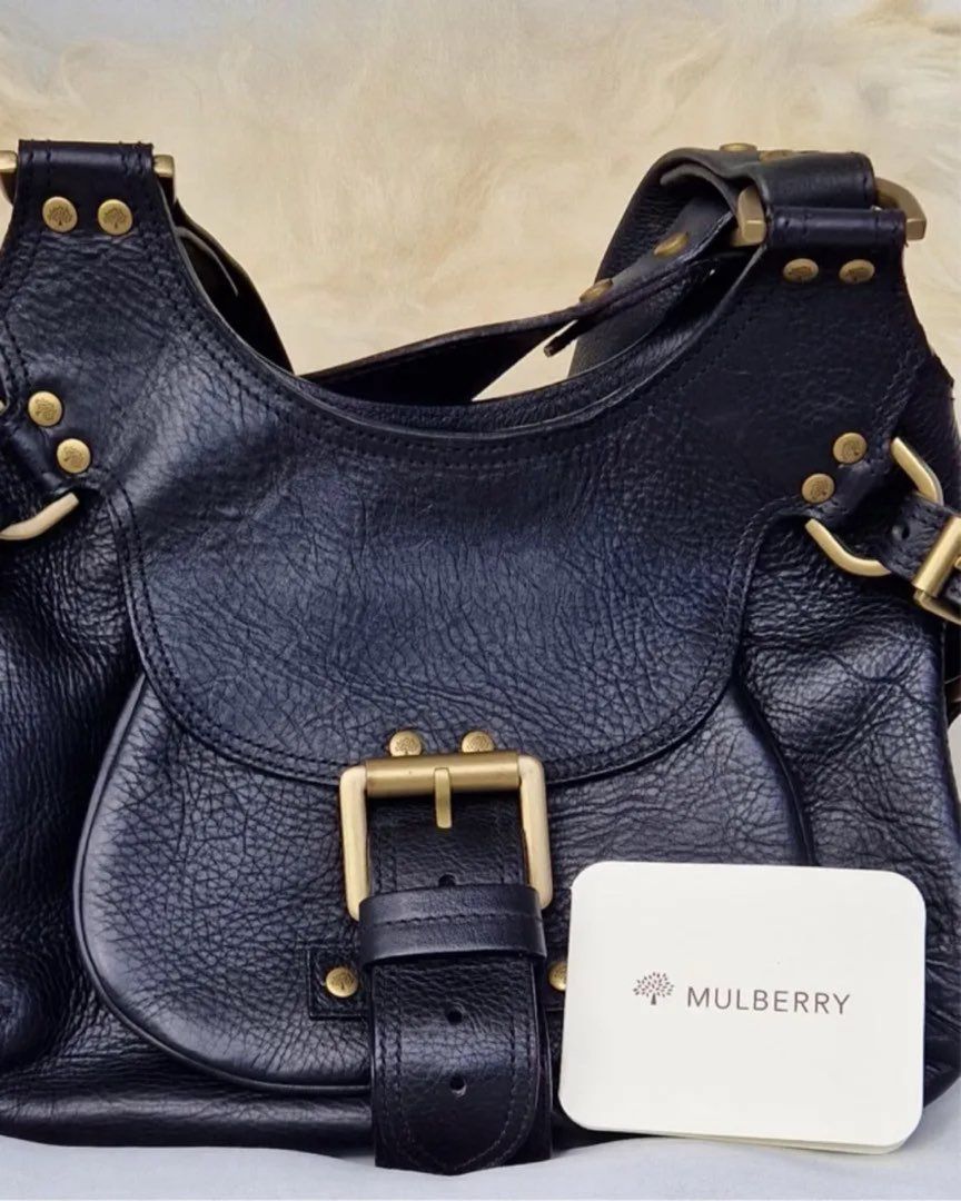 Mulberry Phoebe