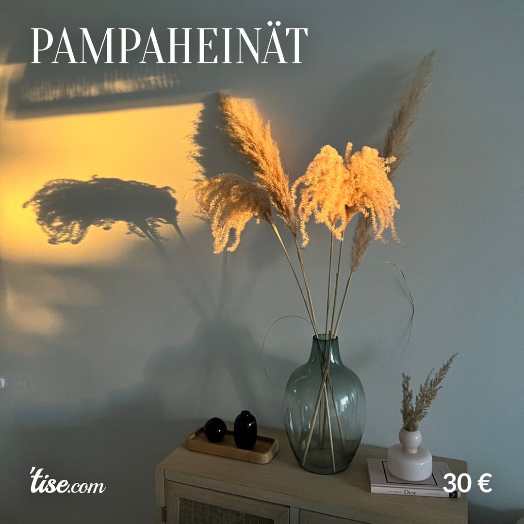 Pampaheinät