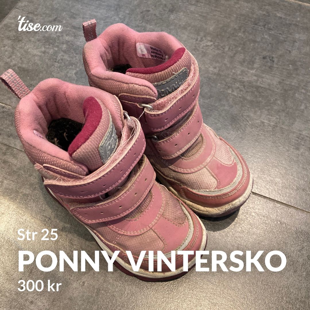 Ponny vintersko