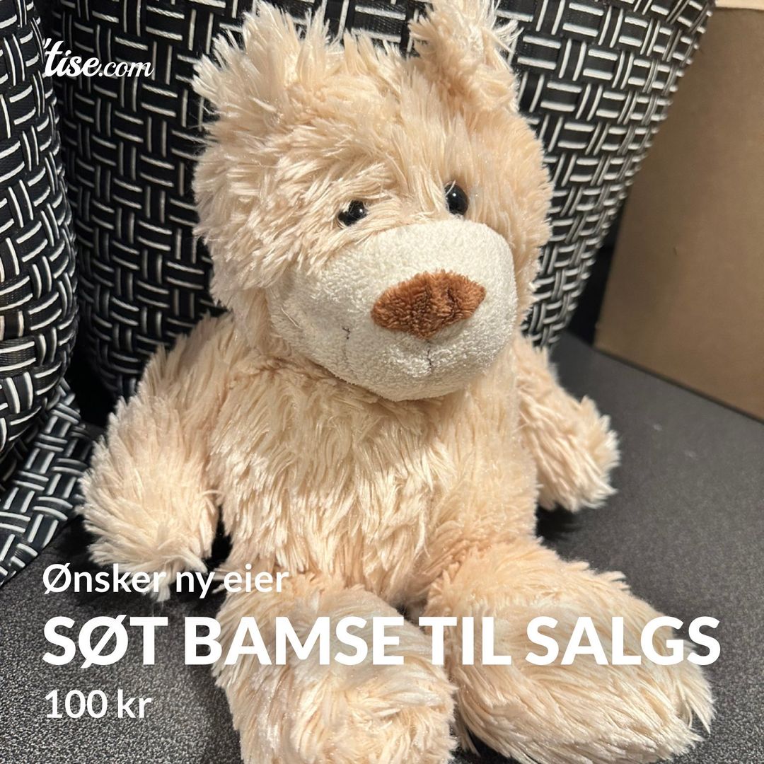 Søt bamse til salgs