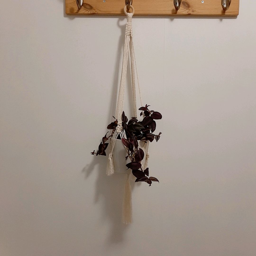 Macrame Plant Hanger