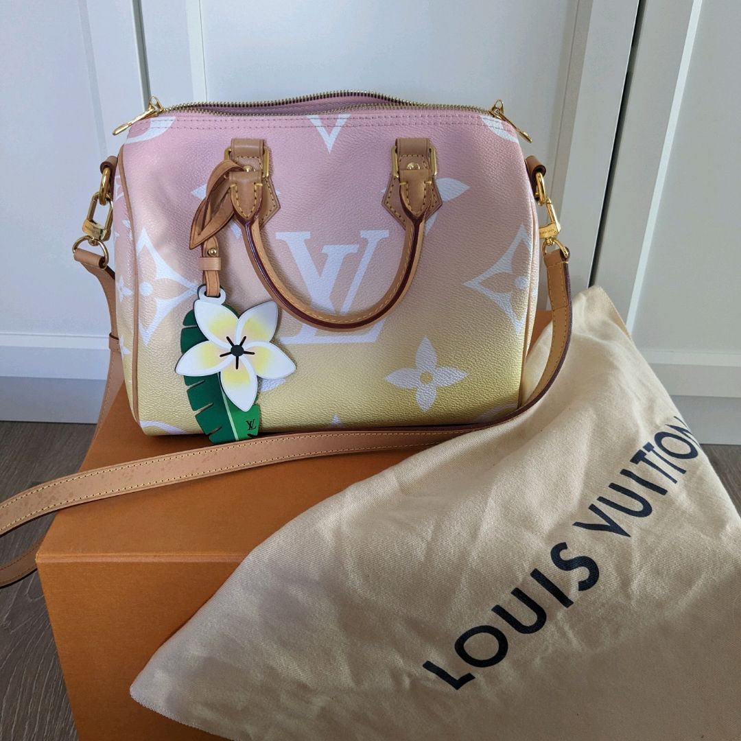 Louis Vuitton Speedy