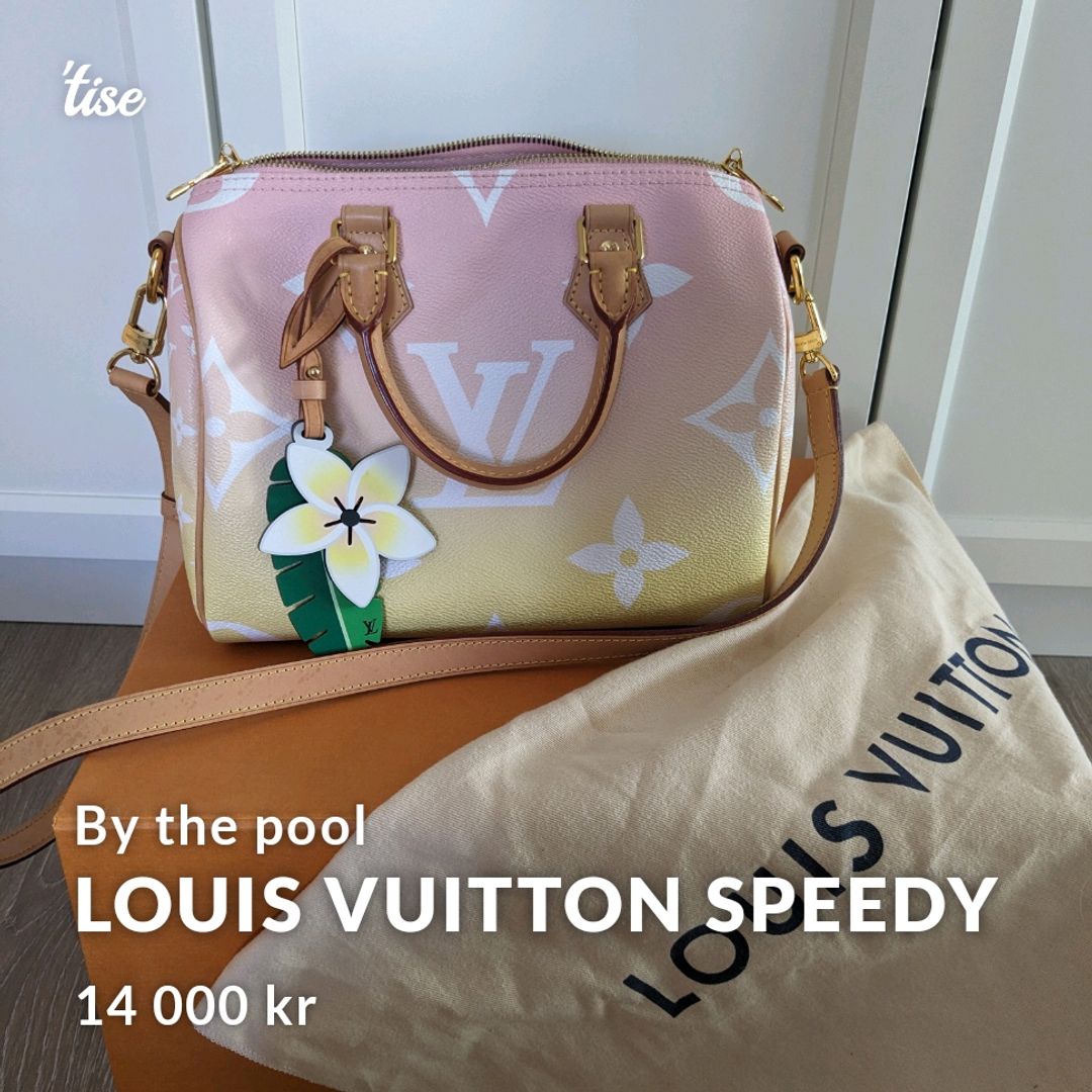 Louis Vuitton Speedy