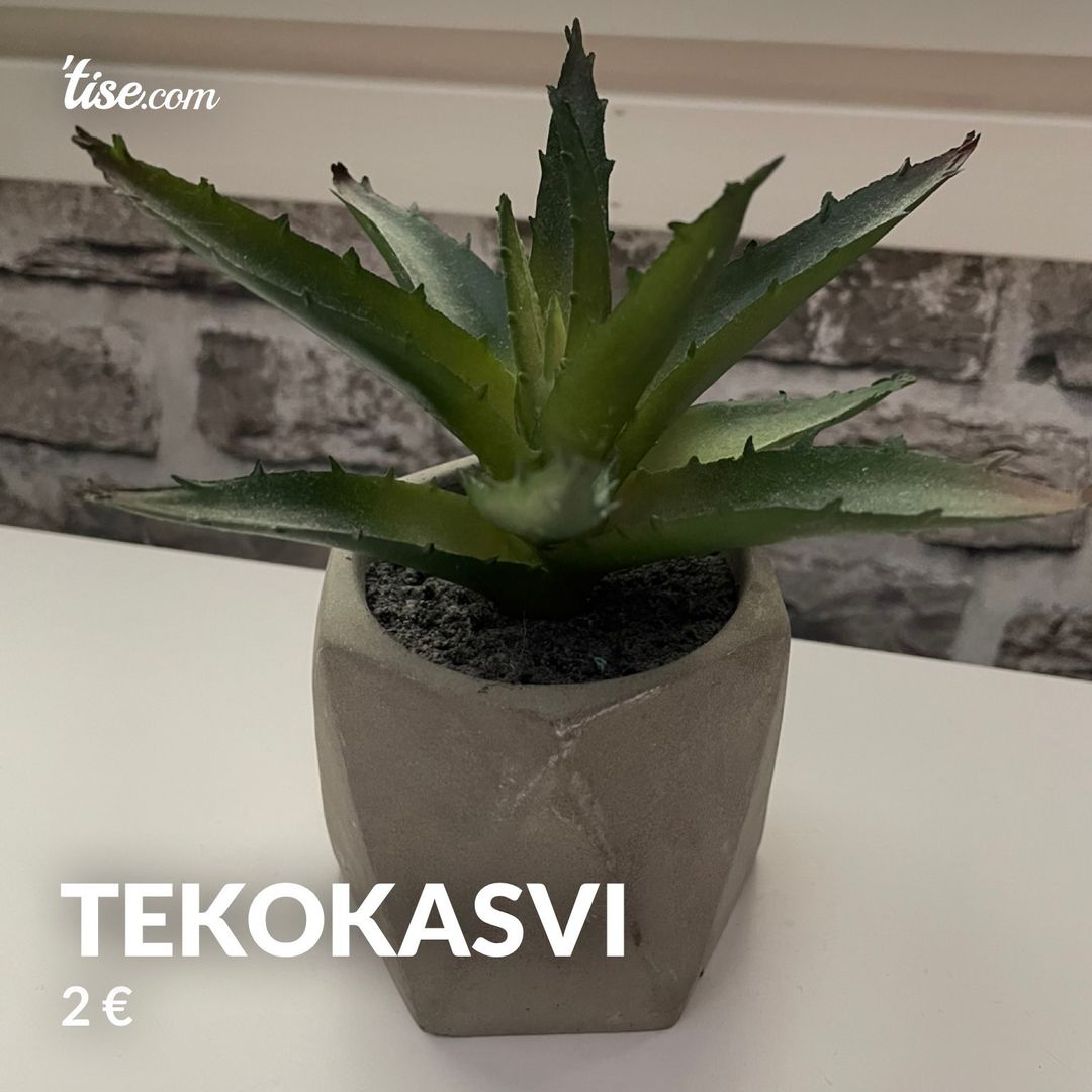 Tekokasvi