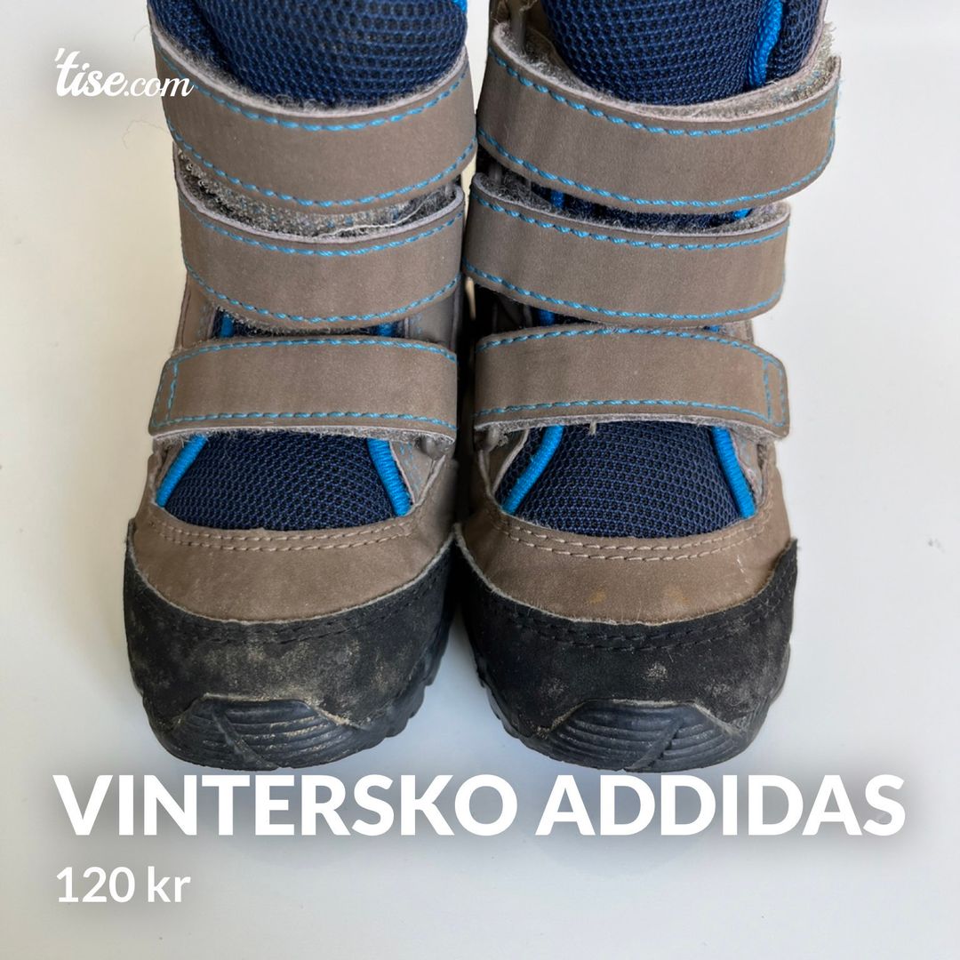 Vintersko Addidas