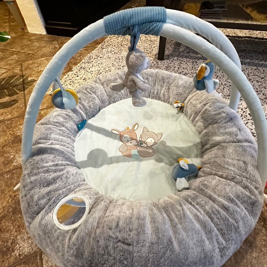 Baby gym