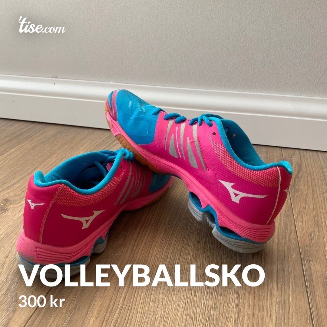 VOLLEYBALLSKO