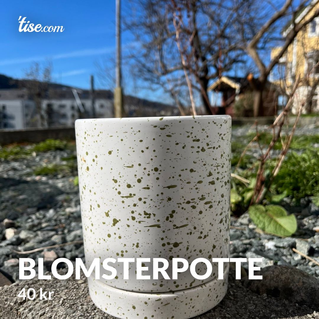 Blomsterpotte