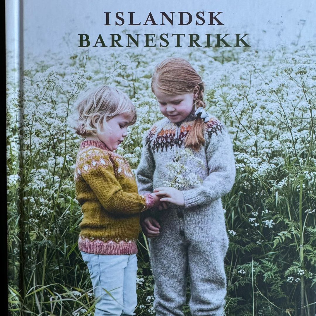 Islandsk barnestrikk