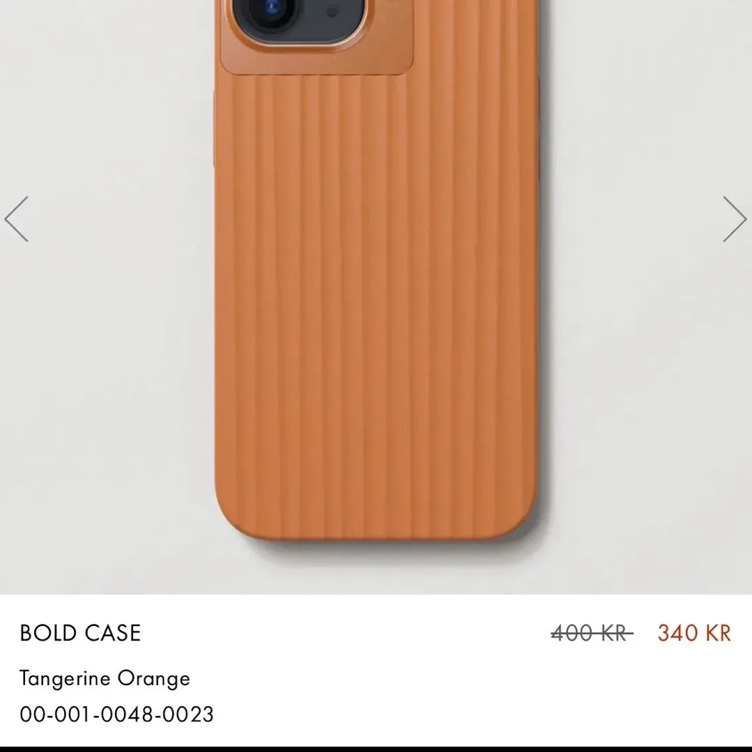 Nudient bold case