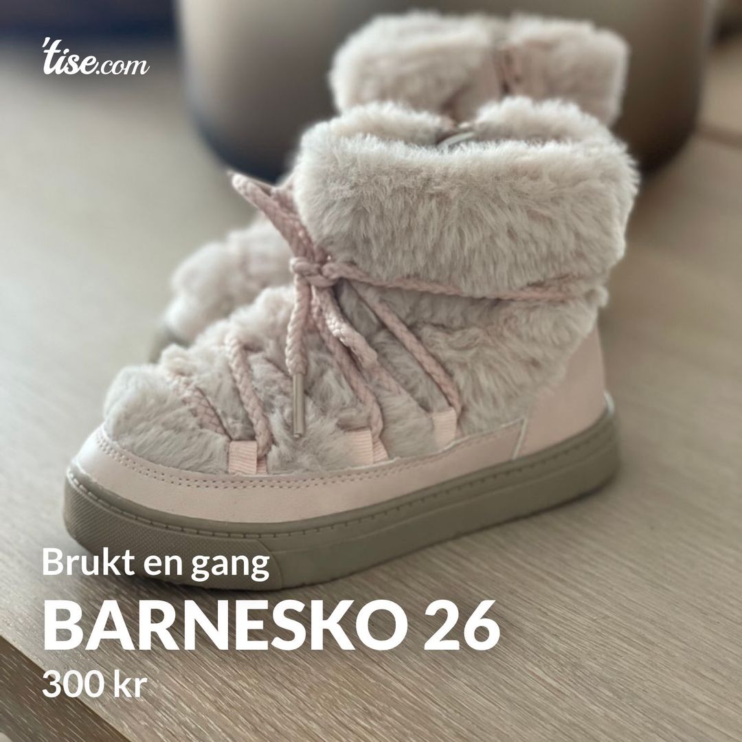 Barnesko 26