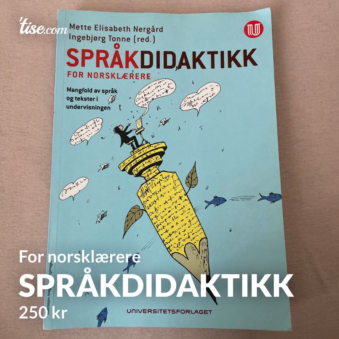 Språkdidaktikk