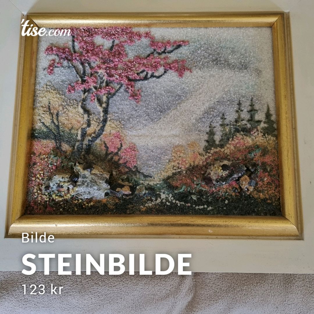 Steinbilde