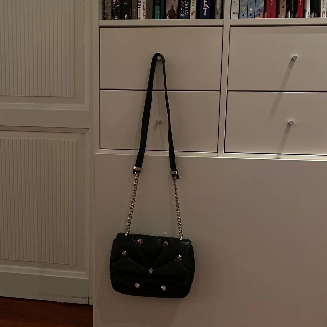 Zara bag