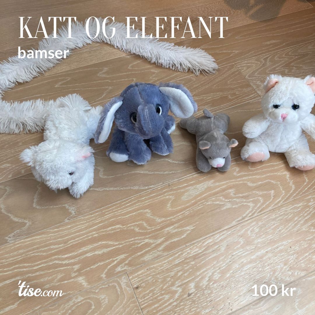 Katt og elefant