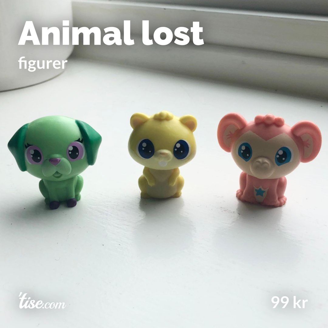 Animal lost