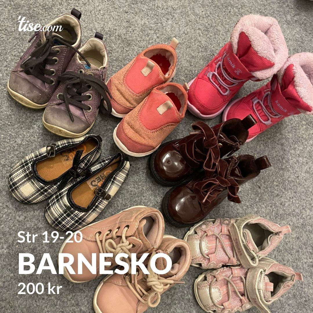 Barnesko