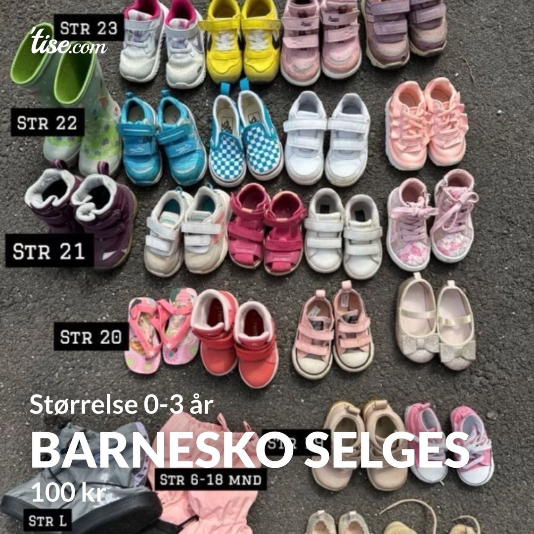 Barnesko selges