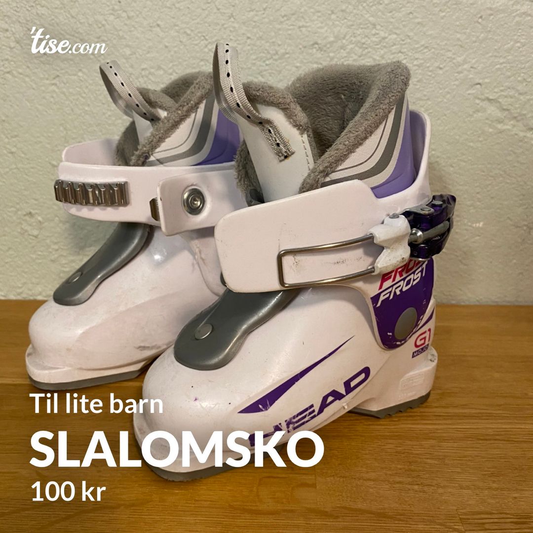 Slalomsko