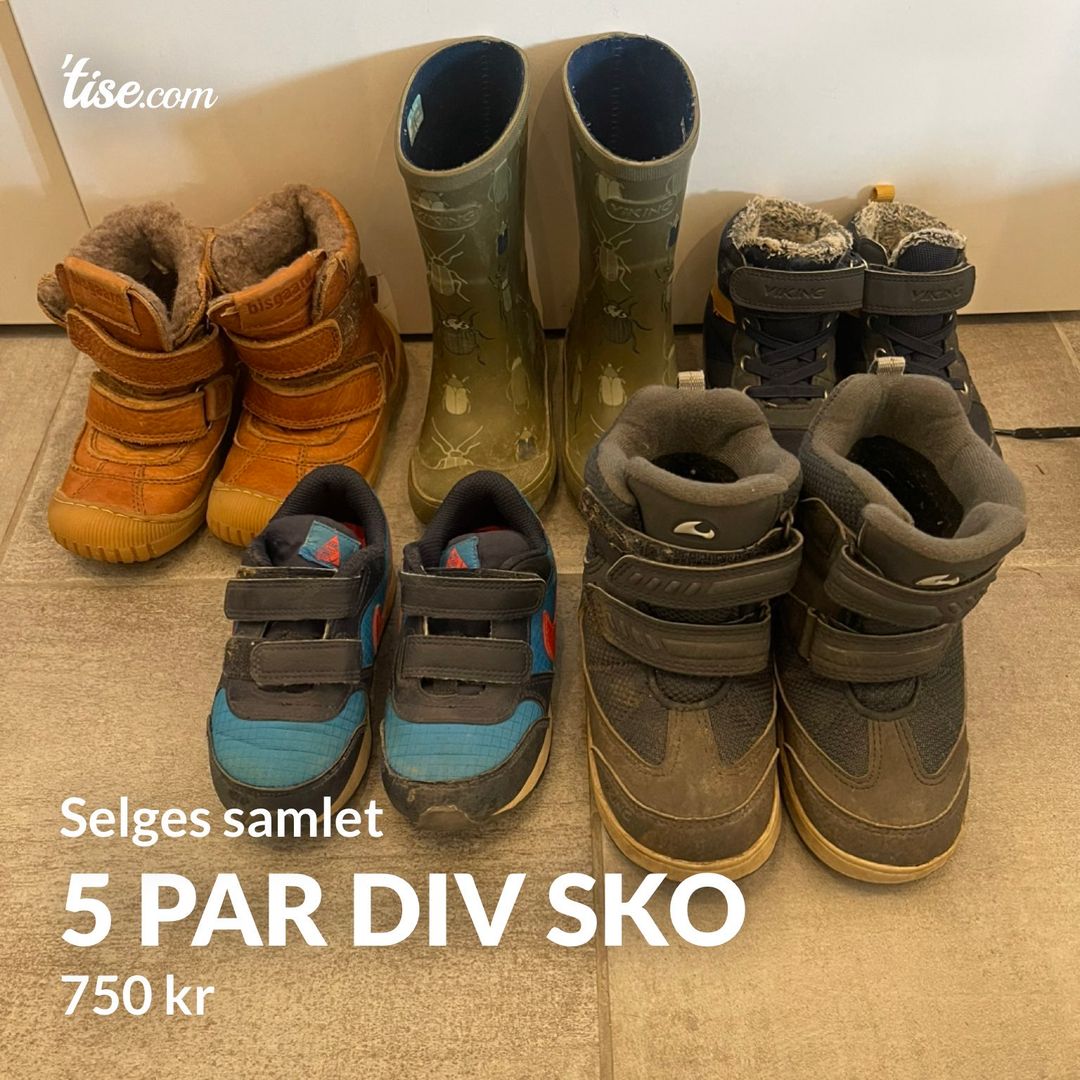 5 par div sko