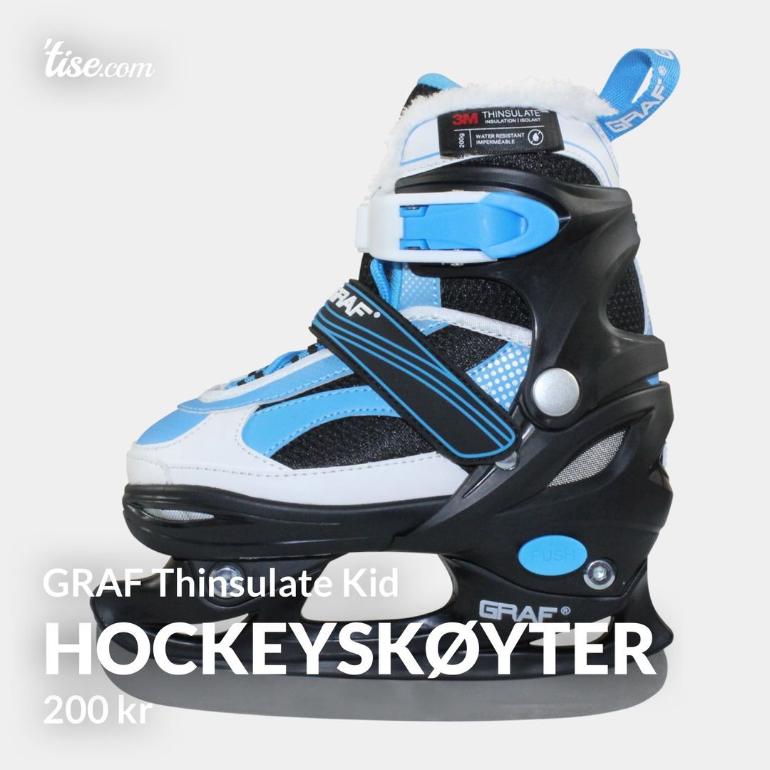 Hockeyskøyter