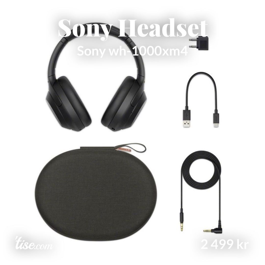 Sony Headset