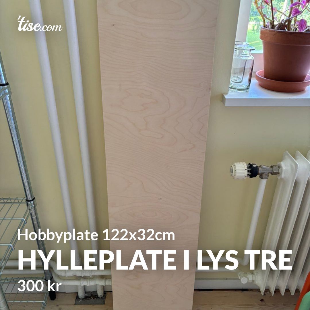 Hylleplate i lys tre