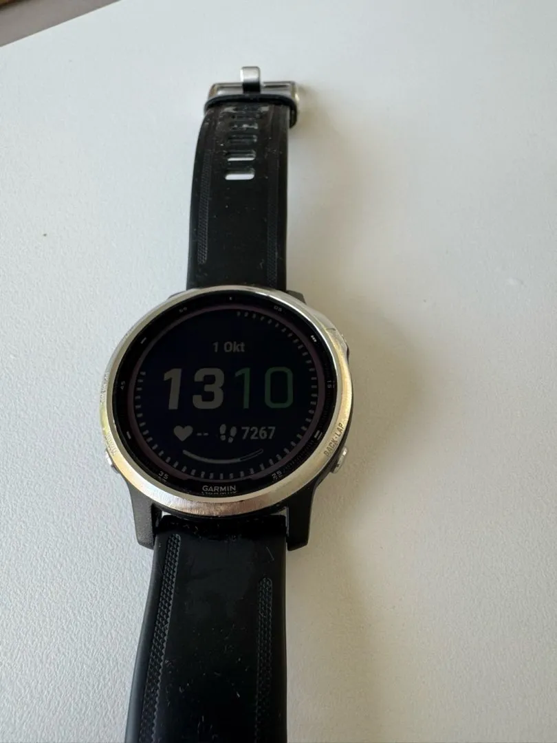 Garmin Fenix