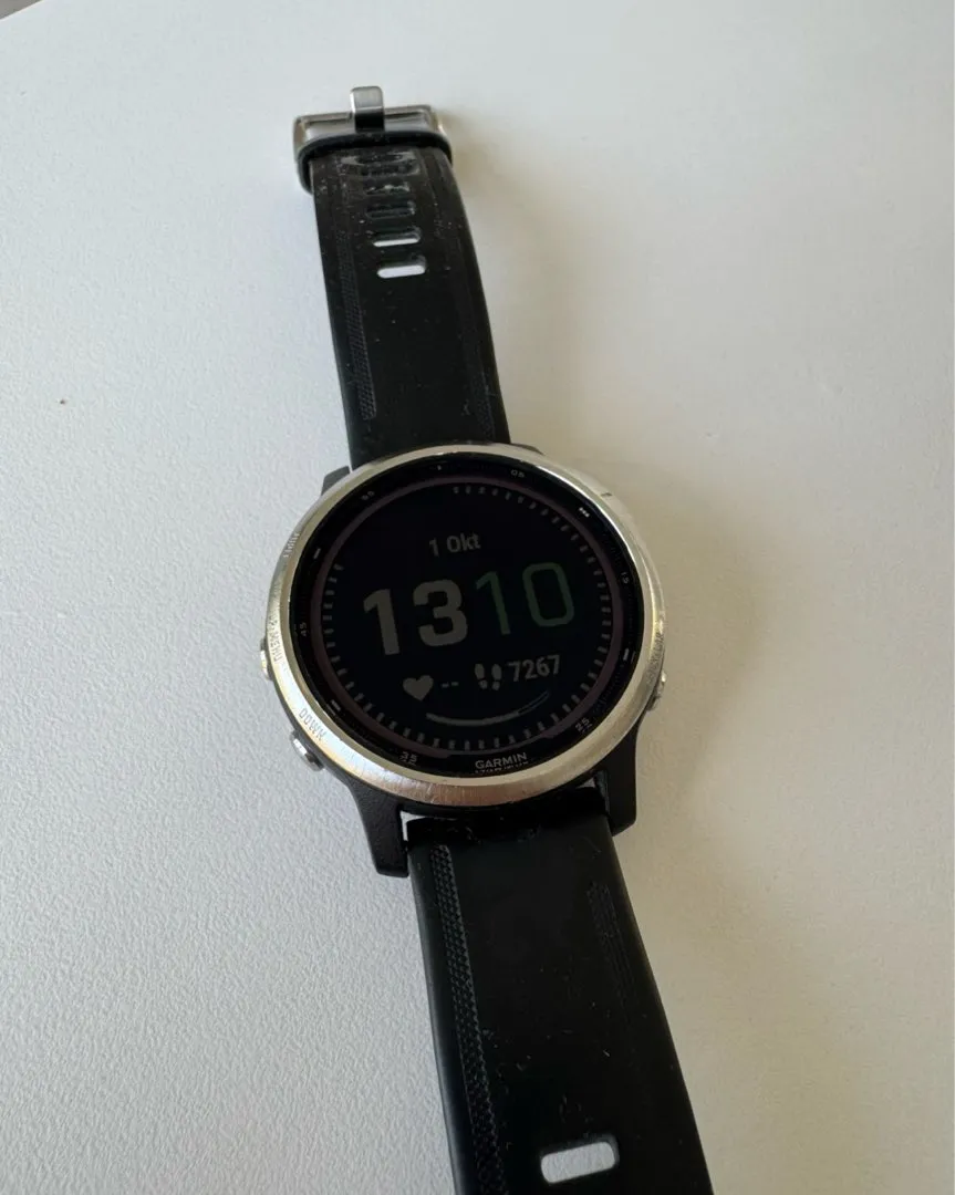 Garmin Fenix