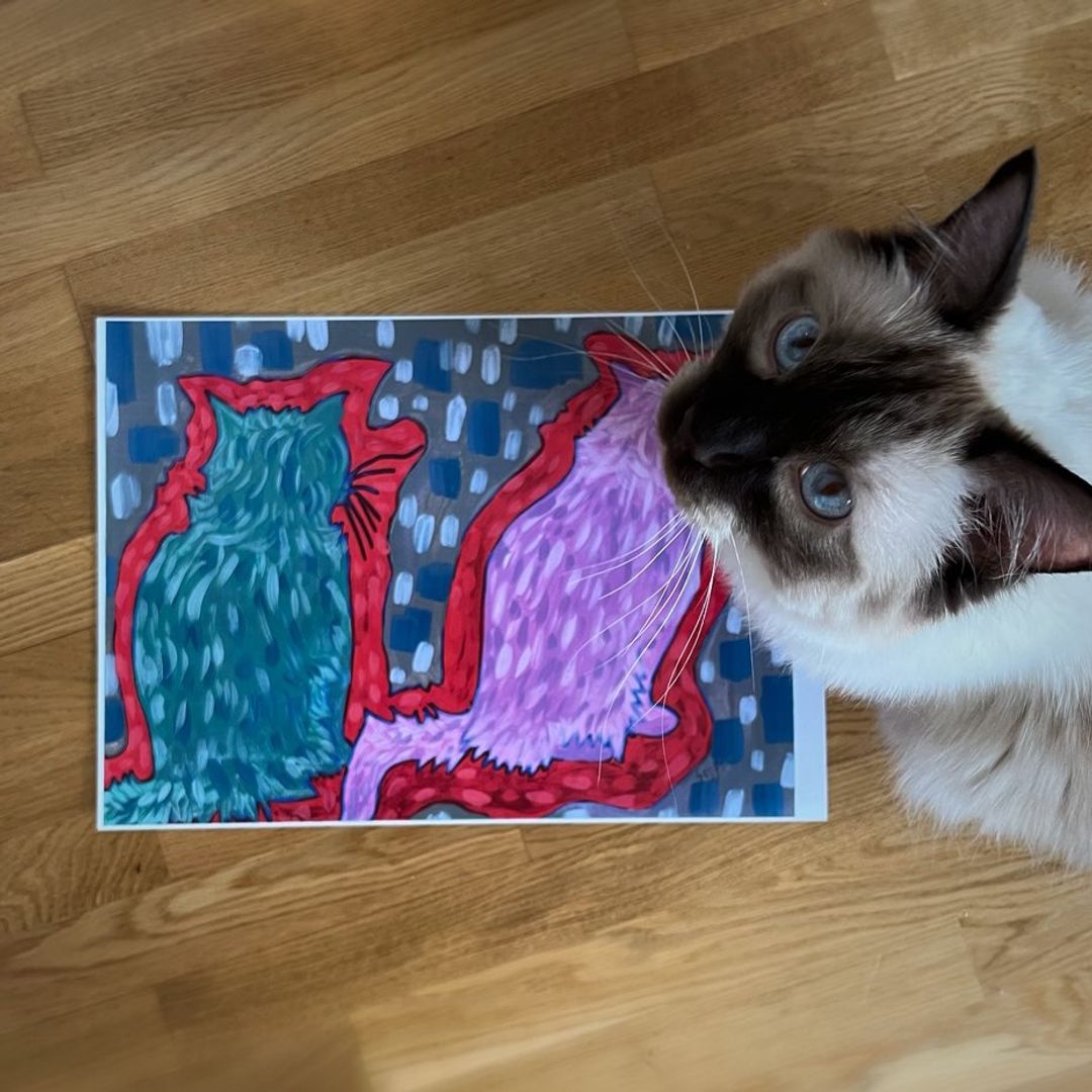 Katte-poster